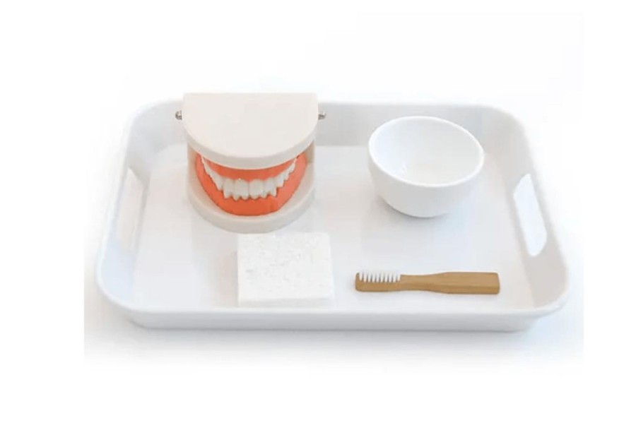 Montessori Materials MVITA | Brushing Teeth Activity Set