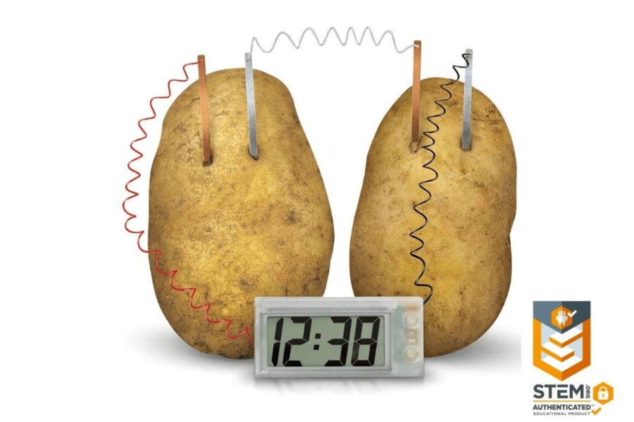 Toys Playwell | Potato Clock Science Experiment