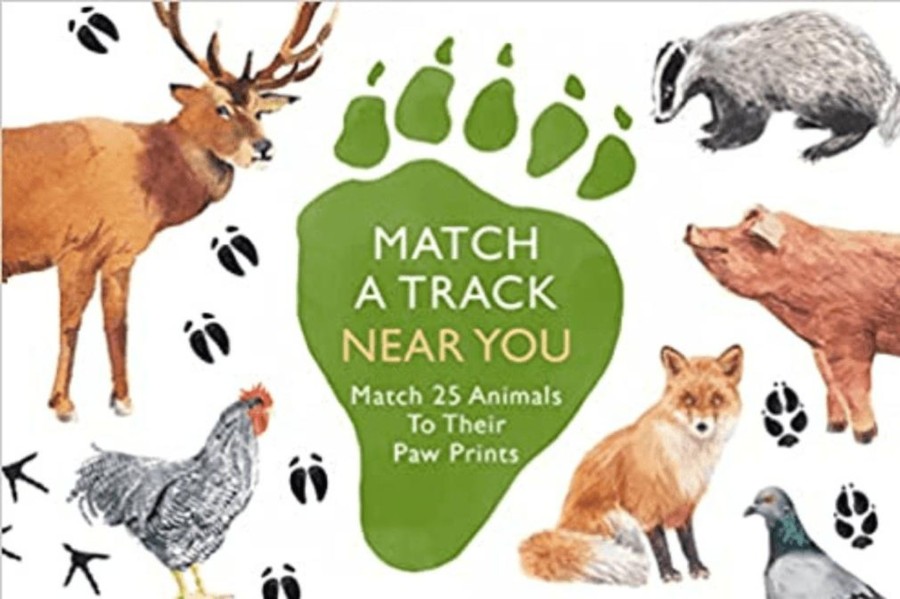 Toys The Montessori Room | Match A Track Near You