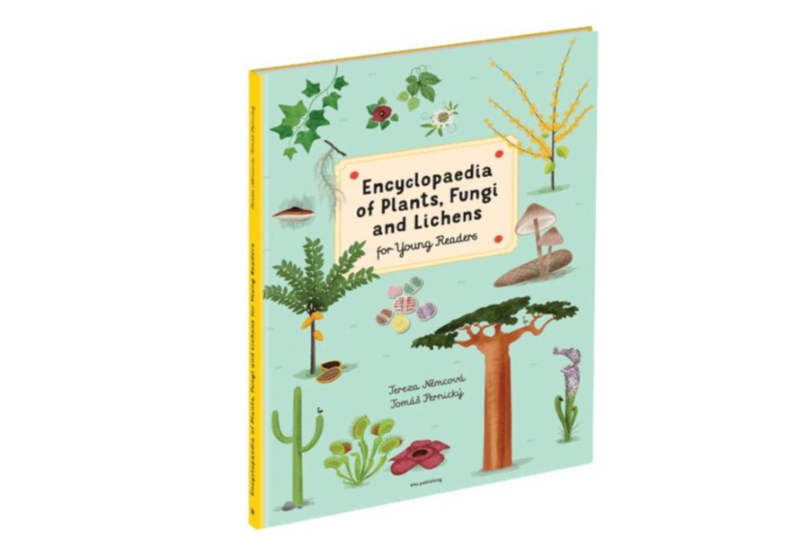 Books Raincoast Books | Encyclopedia Of Plants, Fungi And Lichens For Young Readers