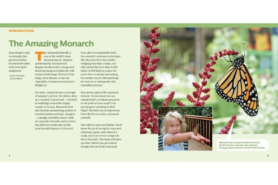 Books Firefly Books | How To Raise Monarch Butterflies: A Step-By-Step Guide For Kids [Soft Cover]