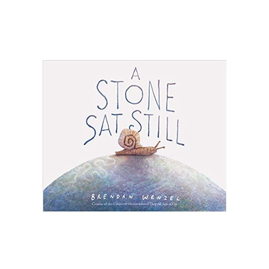 Montessori Materials Raincoast Books | A Stone Sat Still By Brendan Wenzel [Hardcover]