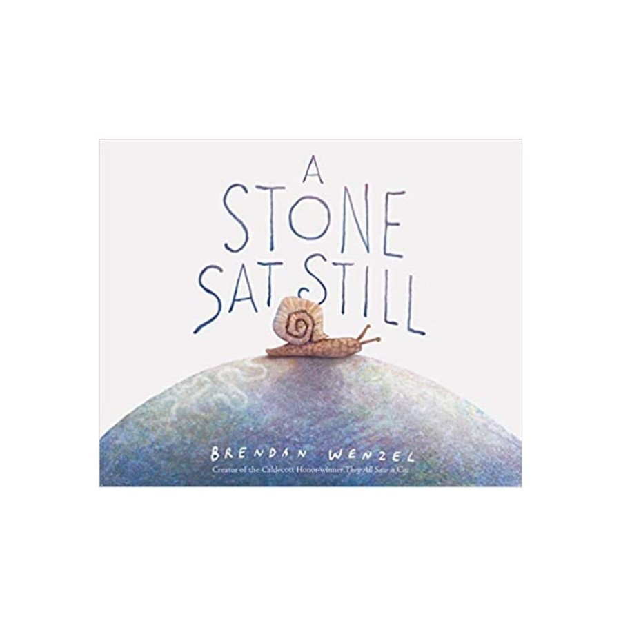 Books Raincoast Books | A Stone Sat Still By Brendan Wenzel [Hardcover]