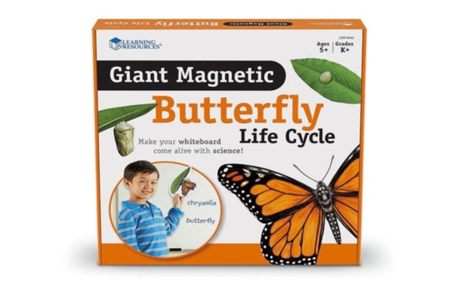 Toys Playwell | Giant Magnetic Butterfly Life Cycle