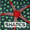 Montessori Materials Harper Collins | Shapes By Judith Nouvion