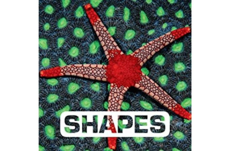 Montessori Materials Harper Collins | Shapes By Judith Nouvion