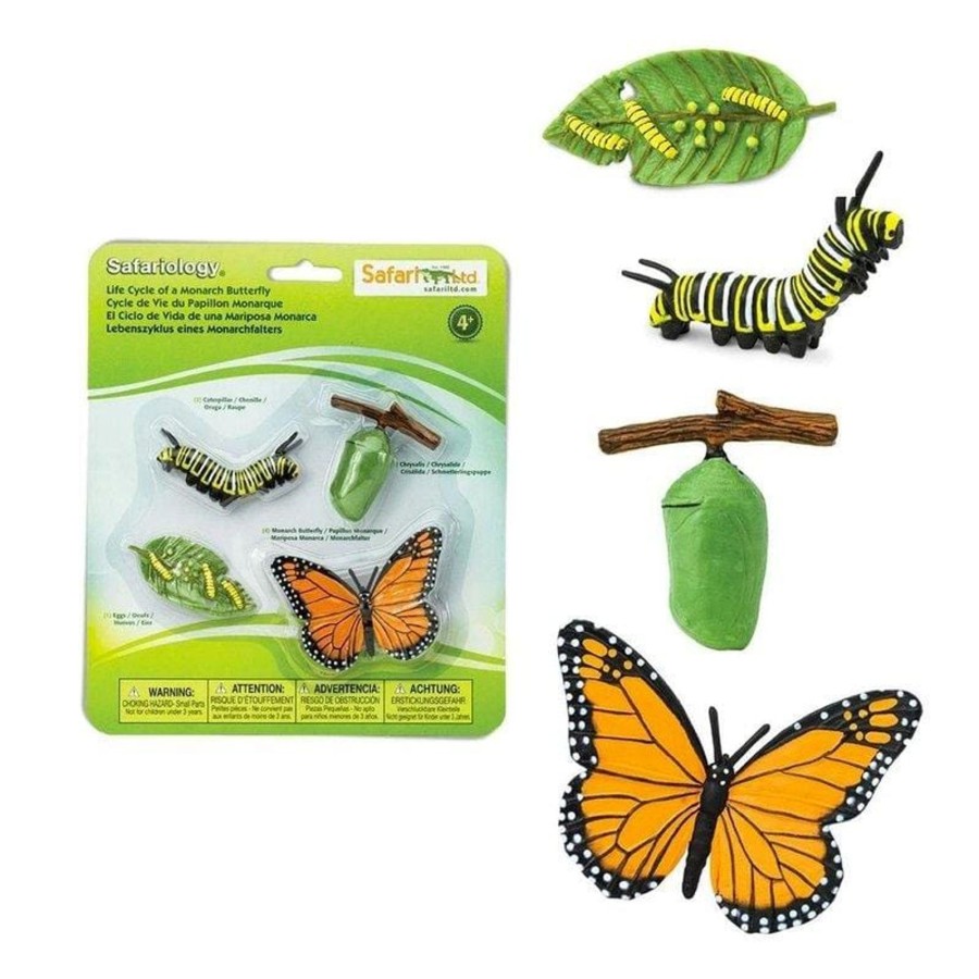 Montessori Materials Safari Ltd | Life Cycle Of A Monarch Butterfly