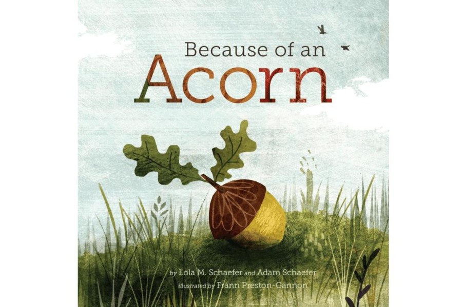 Montessori Materials Raincoast Books | Because Of An Acorn By Lola M. Schaefer And Adam Schaefer [Hardcover]