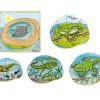 Toys Playwell | Beleduc Layer Puzzle - Life Cycle Of A Frog