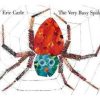 Books Raincoast Books | The Very Busy Spider By Eric Carle