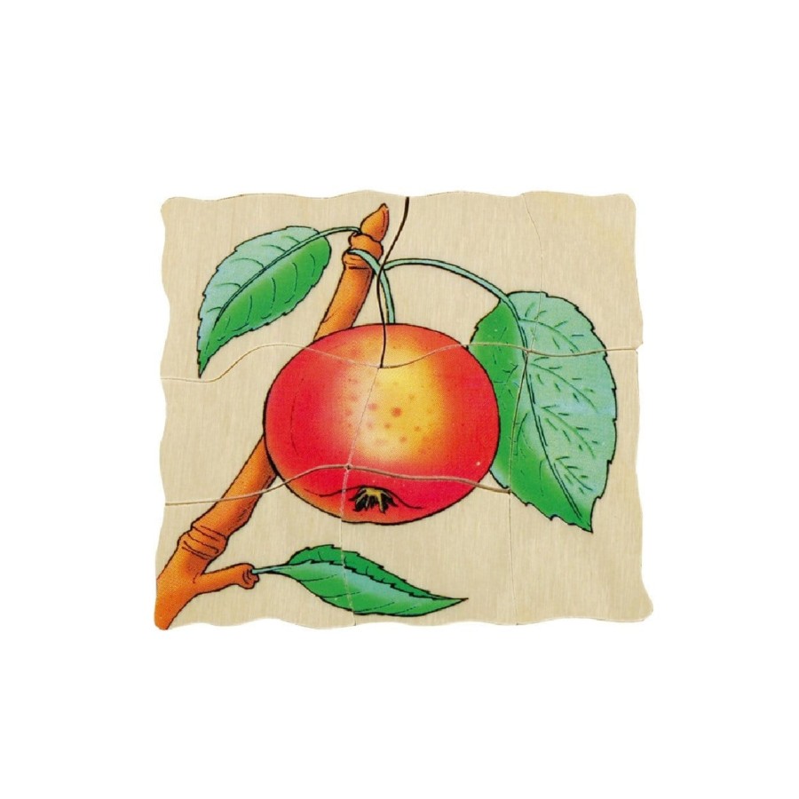 Montessori Materials Playwell | Beleduc Layer Puzzle - Life Cycle Of An Apple