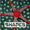 Books Harper Collins | Shapes By Judith Nouvion