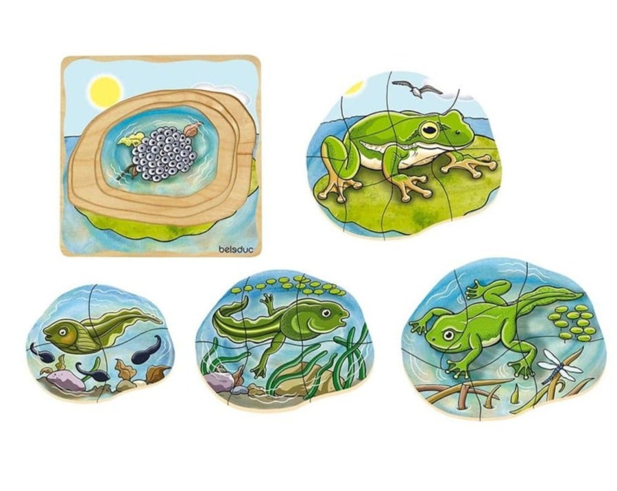 Montessori Materials Playwell | Beleduc Layer Puzzle - Life Cycle Of A Frog