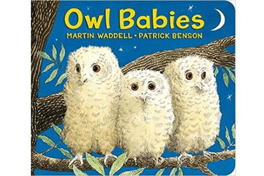 Books Penguin Random House | Owl Babies By Martin Waddell