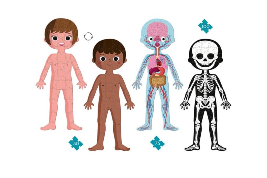 Toys Pierre Belvediere | 4 In 1 Educational Puzzle - Human Body