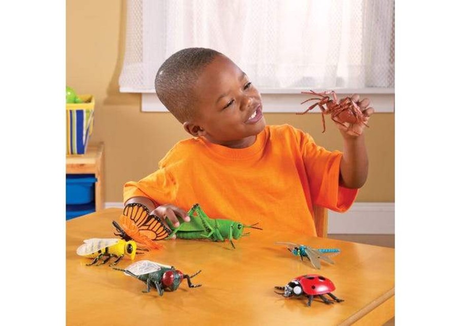 Montessori Materials Playwell | Jumbo Insects