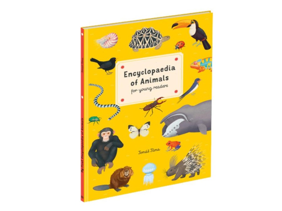 Toys Raincoast Books | Encyclopedia Of Animals For Young Readers