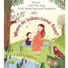 Books Harper Collins | Where Do Babies Come From? By Katie Daynes