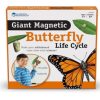 Montessori Materials Playwell | Giant Magnetic Butterfly Life Cycle