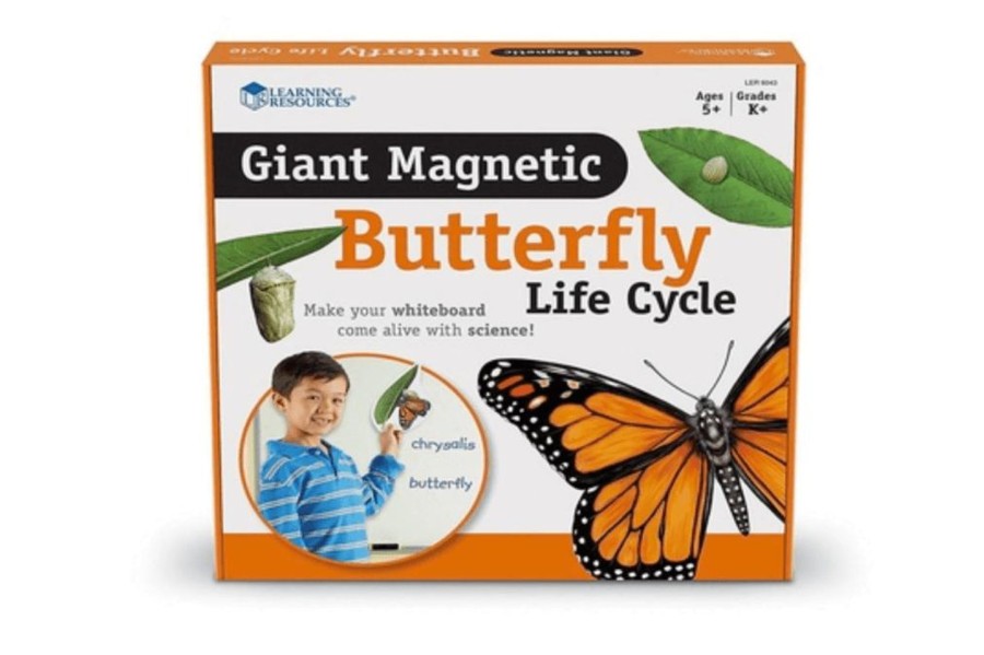 Montessori Materials Playwell | Giant Magnetic Butterfly Life Cycle