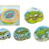 Toys Playwell | Beleduc Layer Puzzle - Life Cycle Of A Frog